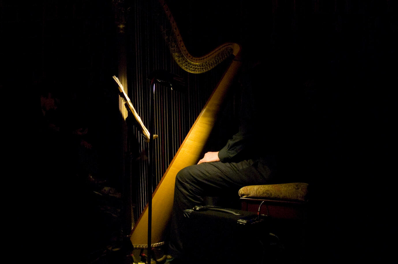 Rhodri Davies